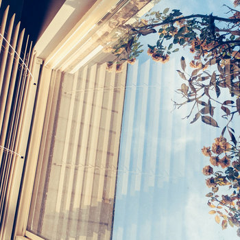 Somewhere Between Here and There