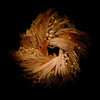cursedmonk.bandcamp.com