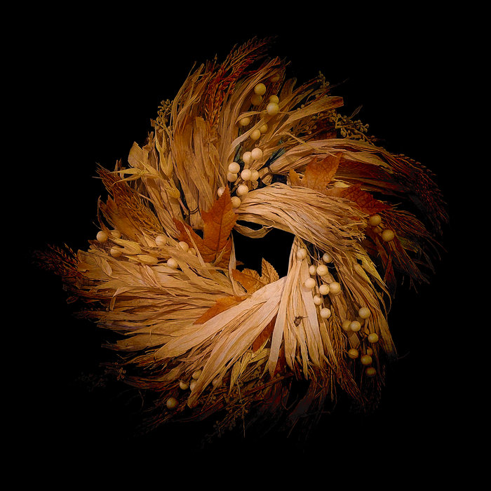 cursedmonk.bandcamp.com