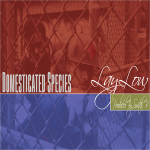 Domesticated Species cover