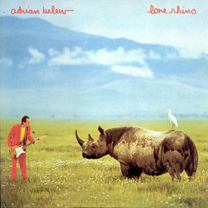 Lone Rhino cover