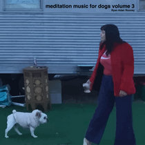 meditation music for dogs volume 3. cover art