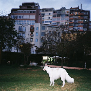 today station — almost everything