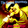 The Singing Housemate Does Bono Stipe Cover Art