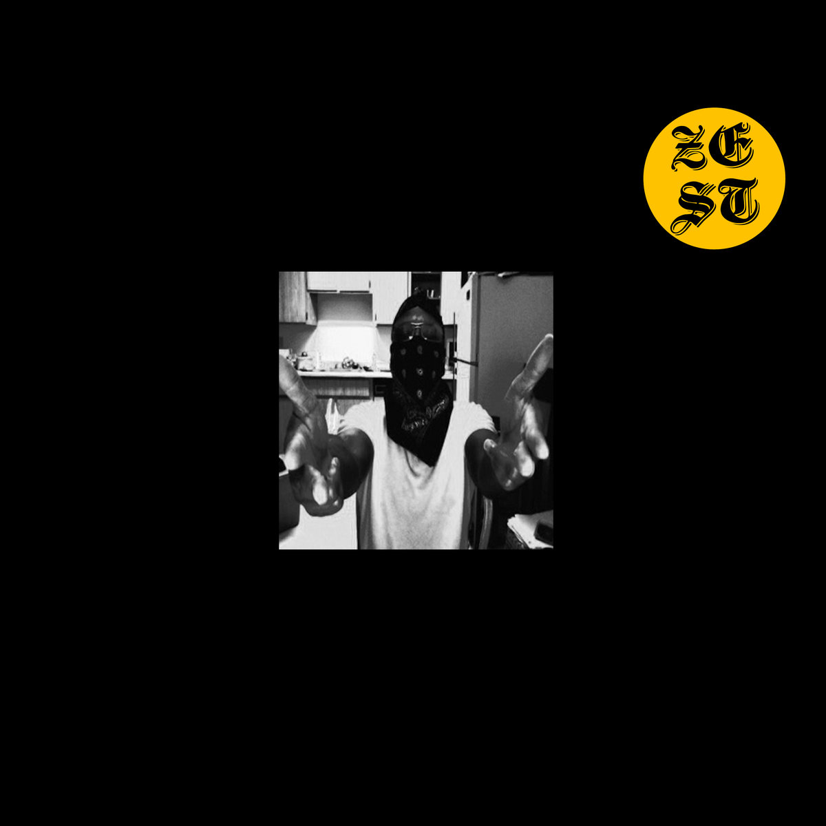 ZEST THE SMOKER - The Smoker's Vault LP | Zest The Smoker | Vulgar