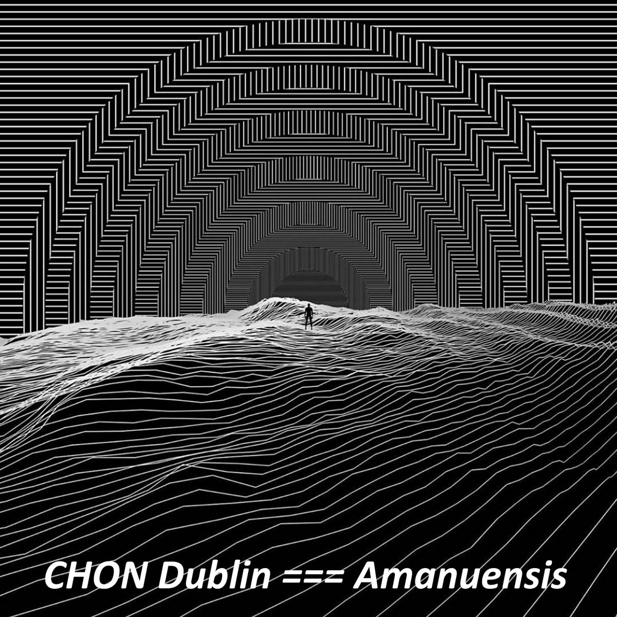 Amanuensis cover