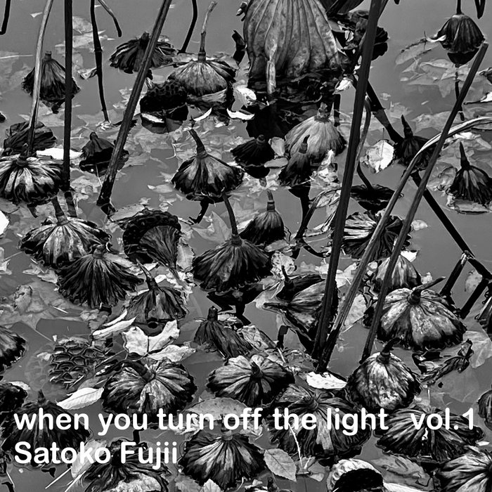 When You Turn Off The Light Vol 1 Satoko Fujii