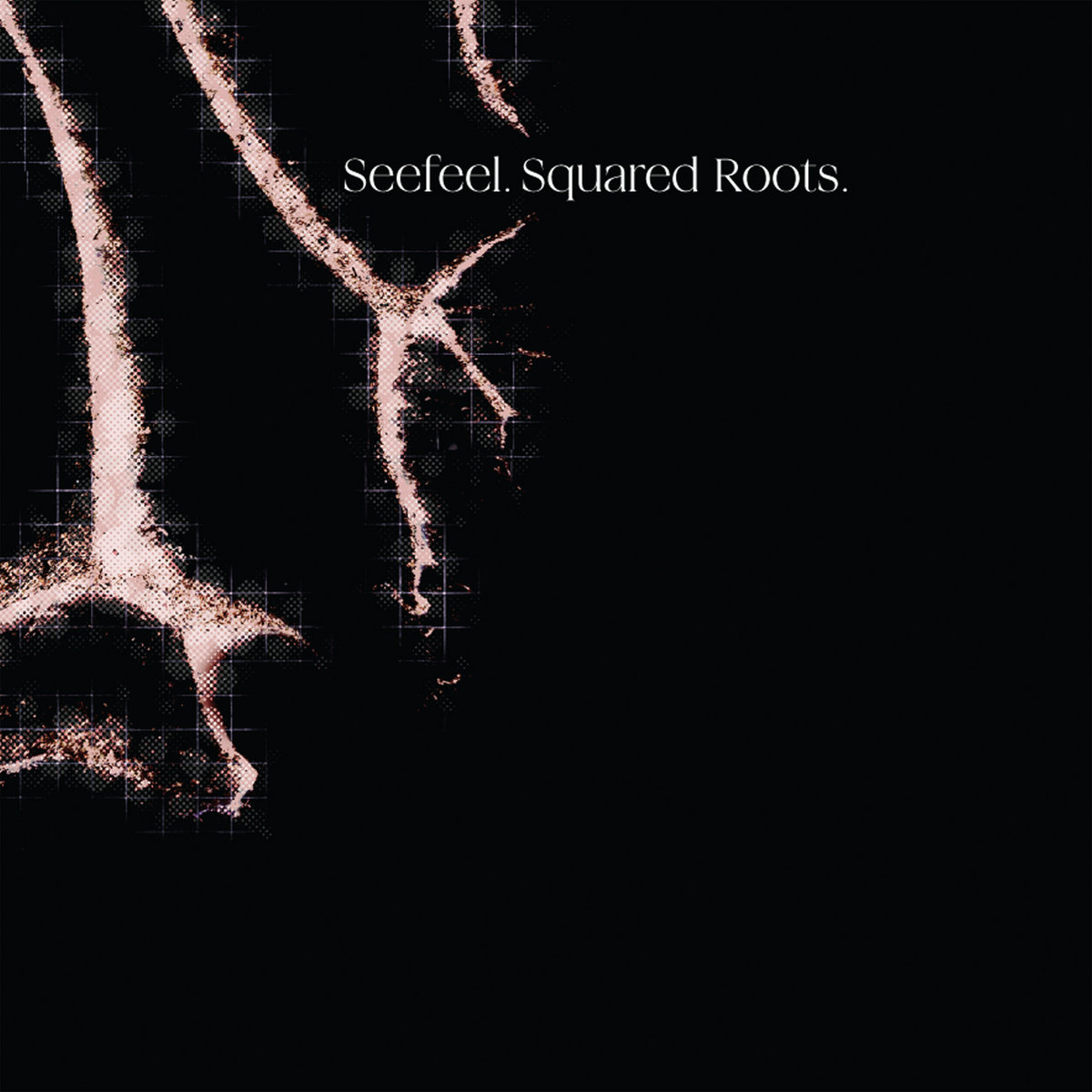 Squared Roots | Seefeel
