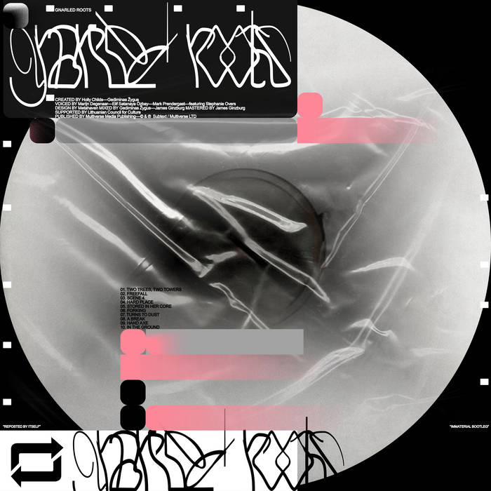 宮嶋仁志 卵屋 G.G.D Gallus Gallus Domesticus 宮嶋仁志 卵屋 G.G.D Gallus Gallus Domesticus Yokohama