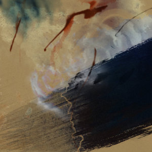 Bruises cover