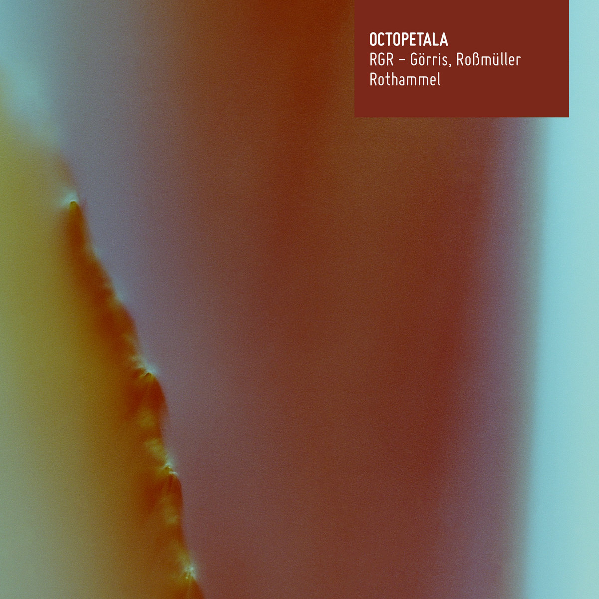 OCTOPETALA