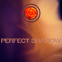 Perfect Shadow cover art