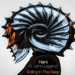 Hani ft. John Legend - Rolling In The Deep