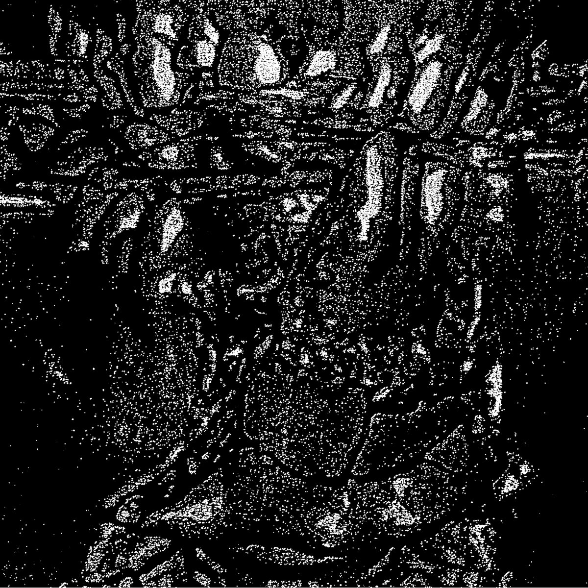 Elaine Elaine | Elaine Elaine | AUGHT \ VOID