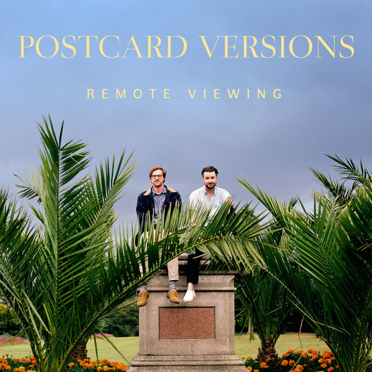 Remote Viewing cover