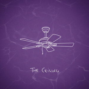 The Ceiling cover