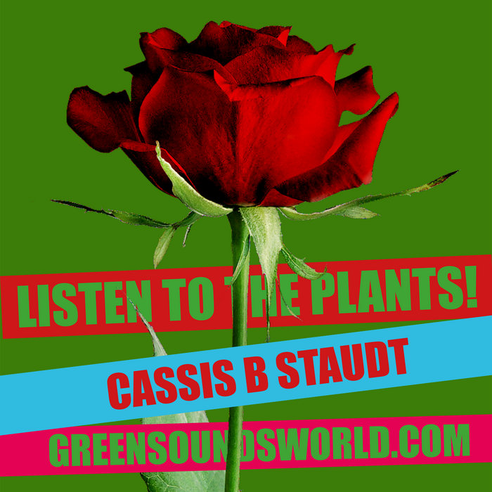 Sun Plants Cassis B Staudt Cassis B