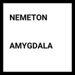 Amygdala