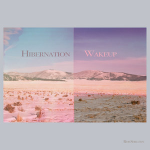 Hibernation Wakeup cover