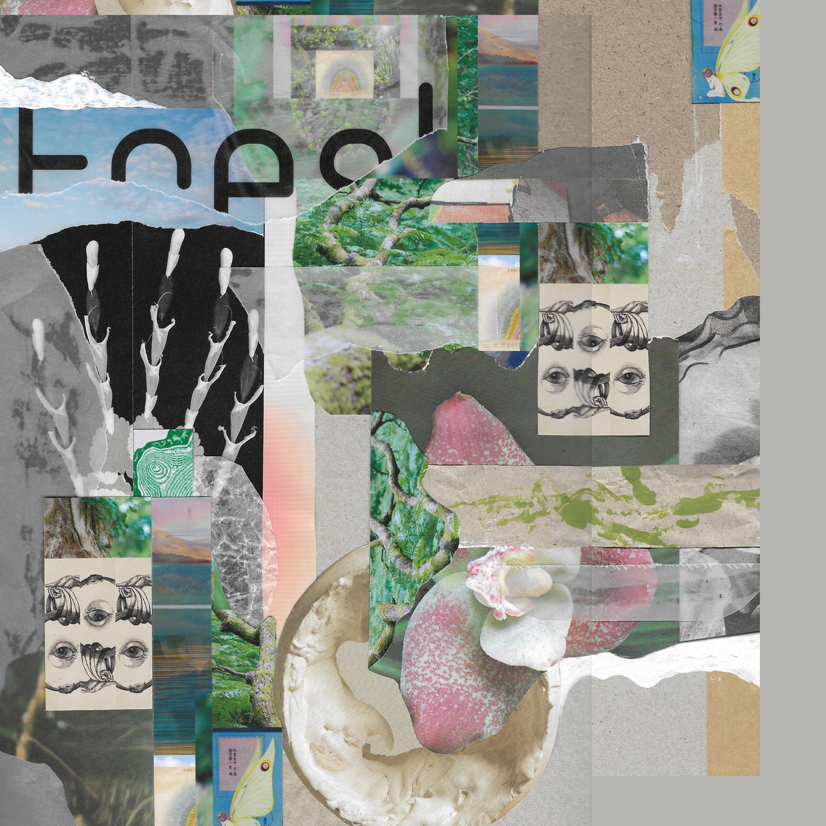 TMC006 | Flutter / Bloom