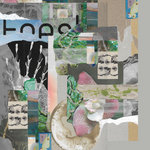 TMC006 | Flutter / Bloom