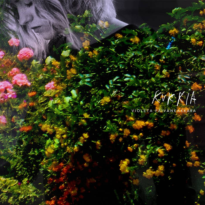 Violeta Päivänkakkara – kukkia