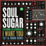 I want you (Sly & Robbie remix)