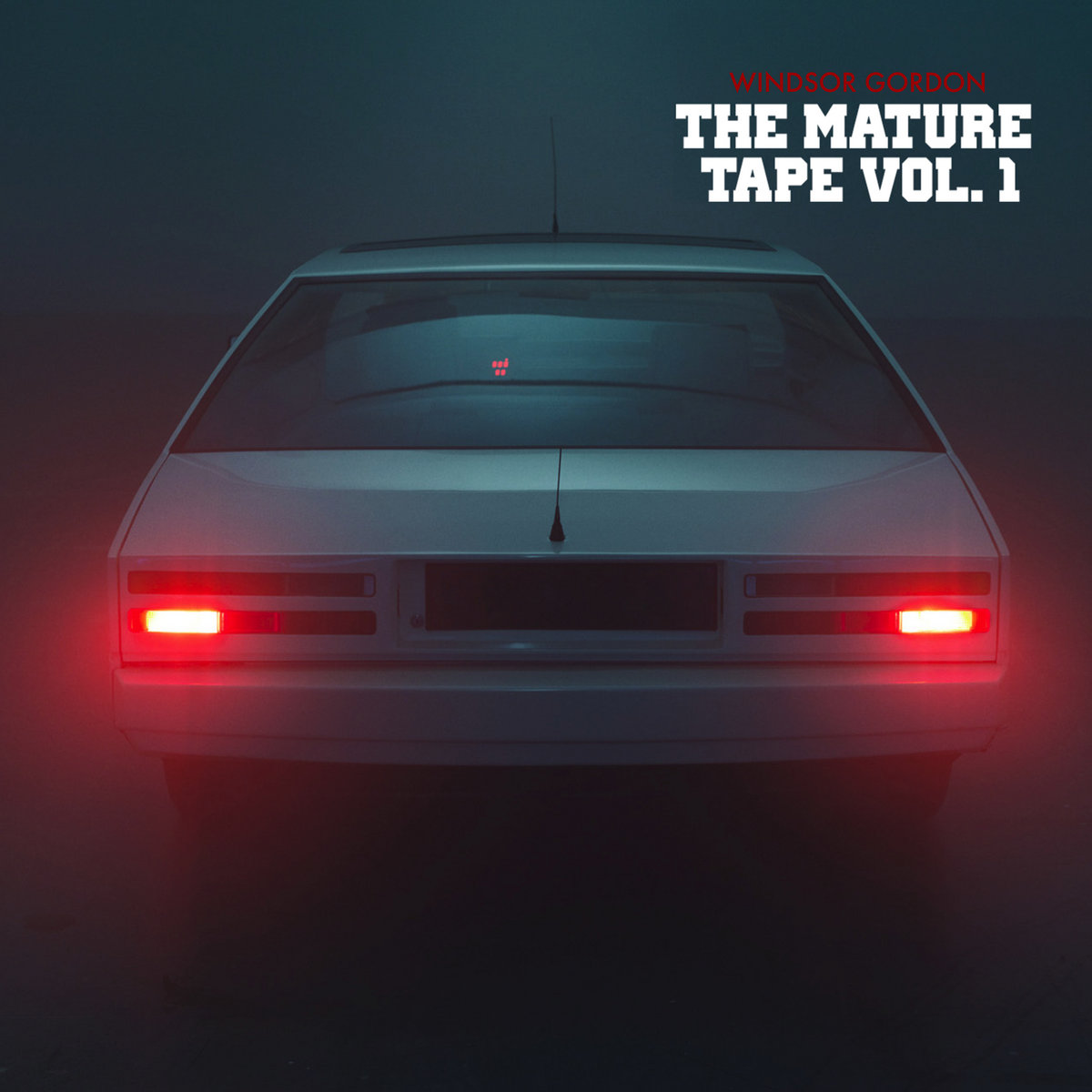 The Mature Tape Vol. 1 | Windsor Gordon | Volunteer Media
