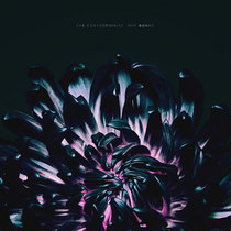Cold Night For Alligators - The Hindsight Notes (Extended)