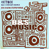 Zetbee — You Know Everything (Original Mix)