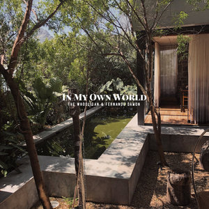 In My Own WorldThe Whooligan & Fernando Damon cover