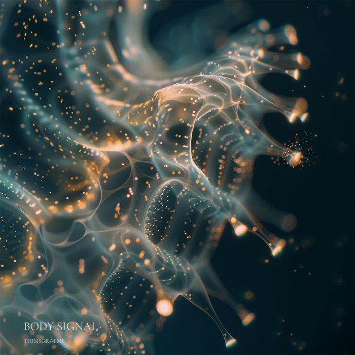 Body Signal | THISISGRAEME