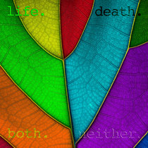Andy Liotta — life, death, both, neither