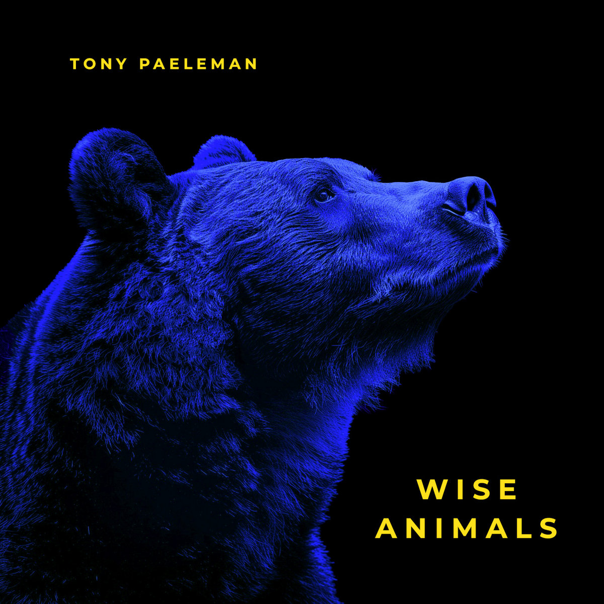 洋書　Awesome Animals Series Collection 9冊 Awesome Animals (9books)