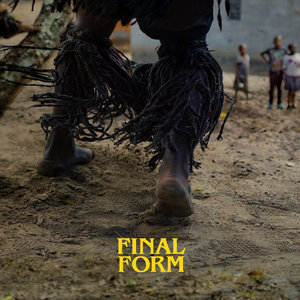 Final Form cover