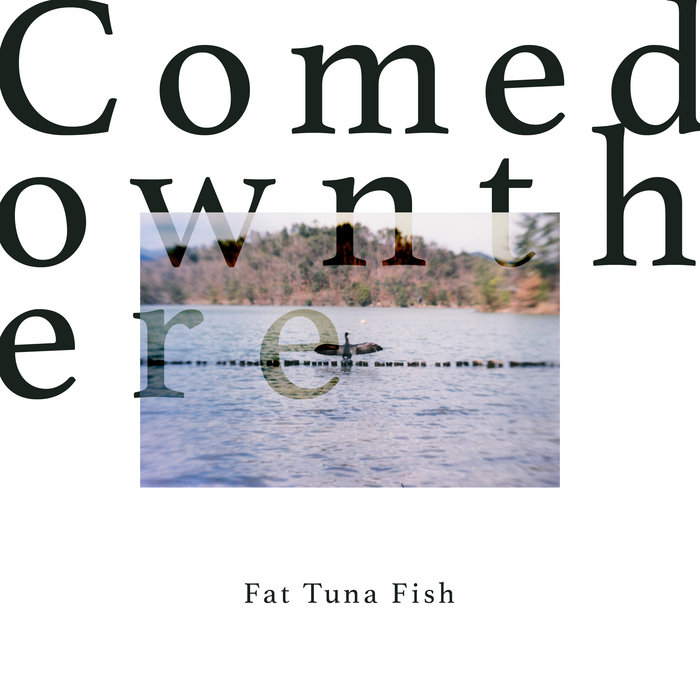 Fat Tuna Fish | Comedownthere