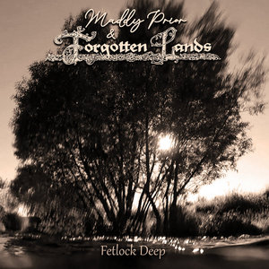 Fetlock DeepMaddy Prior & Forgotten Lands cover