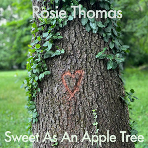 Sweet As An Apple Tree cover