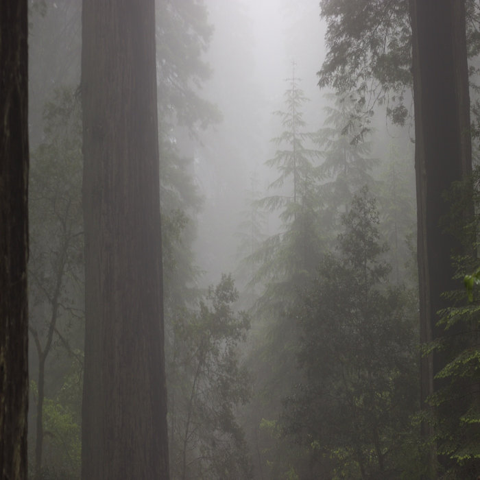 damp | DAMP