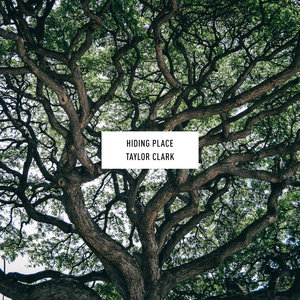 Hiding Place cover