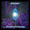 Crystal Consciousness Cover Art