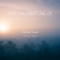 Naviar Virtual IX cover art