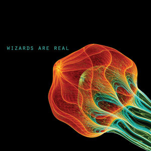 Wizards Are Real (st) cover
