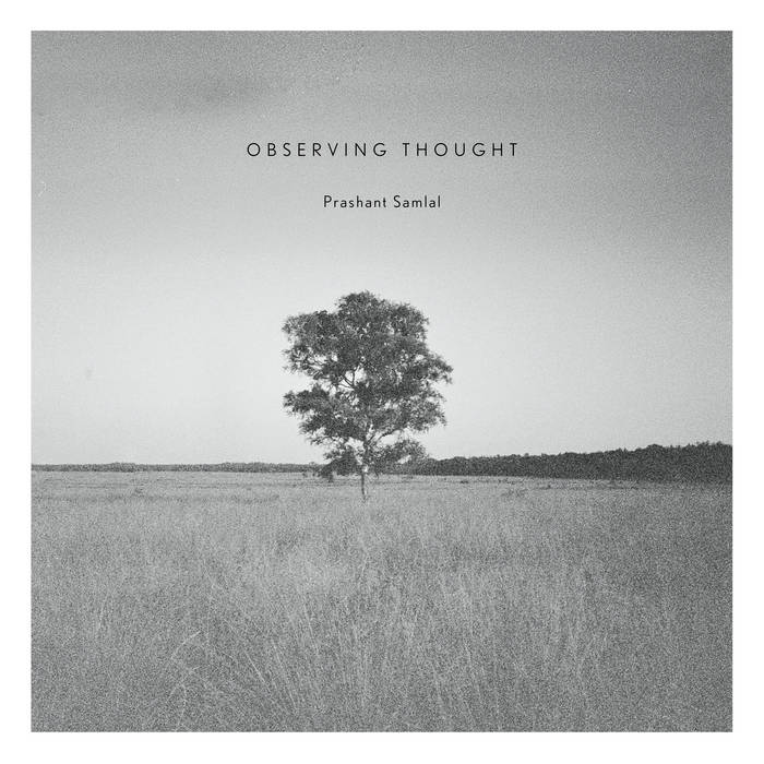 Observing Thought
von Prashant Samlal