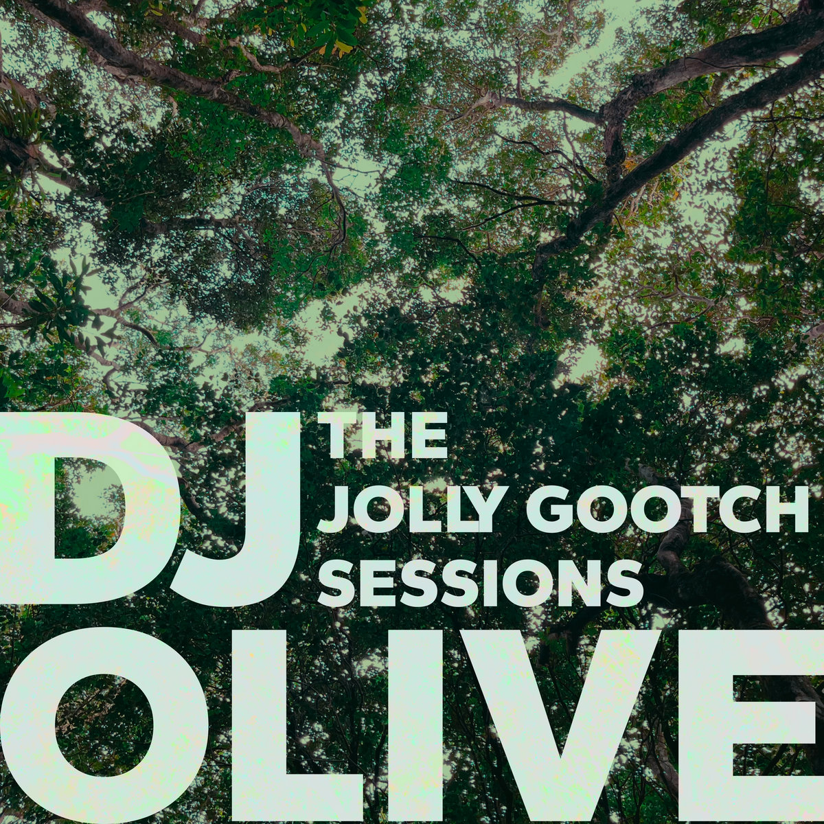 The Jolly Gootch Sessions | DJ Olive | RECORD BLANKS