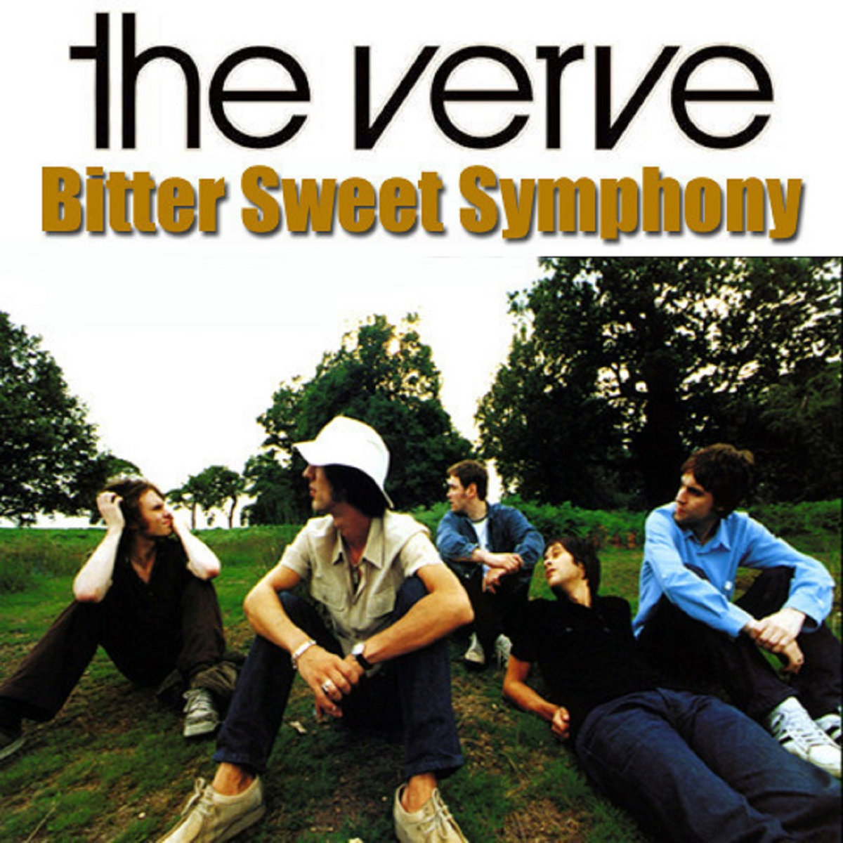 Bitter Sweet Symphony ( Instrumental Cover / The Verve ) | VB