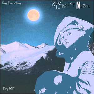 Zee in the Icy Night cover