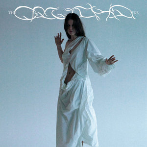 The Orchid cover