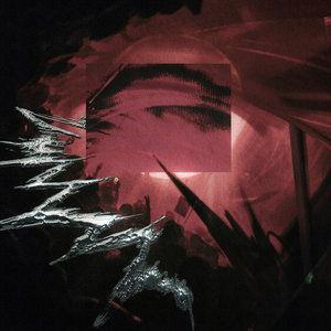 Umbra cover