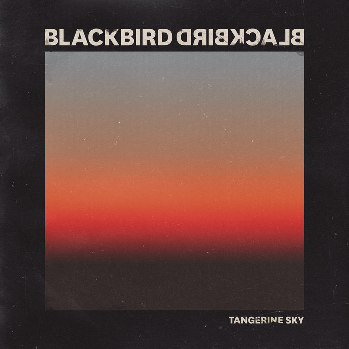 Tangerine Sky Single Blackbird Blackbird